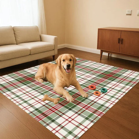 Washable Area Rugs for Living Room, Bedroom & Dining Room – Modern Soft Low Pile Non Slip Carpet – Pet Friendly Waterproof Foldable Rugs for Home