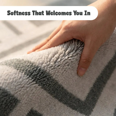 Washable Area Rugs for Living Room, Bedroom & Dining Room – Modern Soft Low Pile Non Slip Carpet – Pet Friendly Waterproof Foldable Rugs for Home